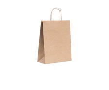 Buy the Best Carry Bag Online in India