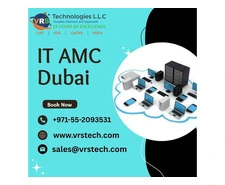 Professional IT AMC Dubai Team