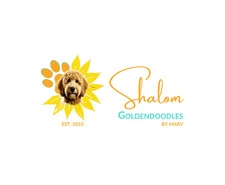 Looking for Adorable Companions? Find Mini Golden Doodles for Sale in Florida!