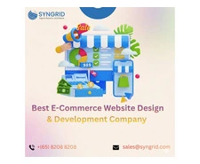 Syngrid Technologies – Best E-Commerce Website Design & Development Company
