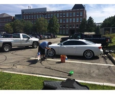 Professional Bugs & Road Tar Removal Services