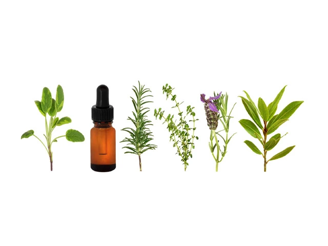 Pure Organic Essential Oils by Santa Lucia Salve Company for Wellness - 1