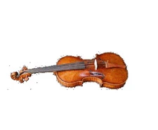 Premium Strings and Accessories at Stringnet for Musicians of Every Level