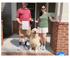 Why Choose Expert Dog Training? | Music City K9 Training USA Today!