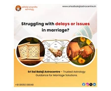 Reliable Astrologer in Bangalore for Marriage Compatibility Solutions | Srisaibalajiastrocentre.in
