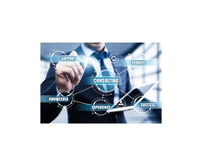 Why Startups Need Business Consulting Services for Faster Growth | Grace Aquino