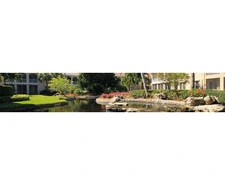 Pelican Bay Homes for Sale | Luxury Living & Market Insights