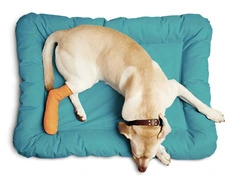 Boulevard Animal Hospital