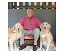 Boulevard Animal Hospital