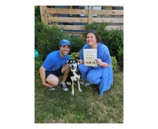 Expert Dog Training Services | Music City K9 Training