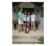 Expert Dog Training Services | Music City K9 Training