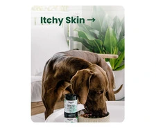 Complete Gut Care with Pet Digestive Health Supplements