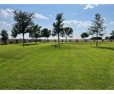 Professional Lawn Service Lubbock for Beautiful Lawns