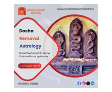 "Astrologer in Bangalore – Sri Sai Balaji Astro"