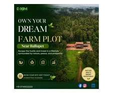 Farmland in Kallur Village – Explore Managed Farmland Opportunities in Karnataka Delightecofarms