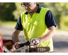 Tree Removal in Handorf - Safe & Efficient Service