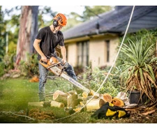 Tree Service Experts Adelaide - Local Tree Care