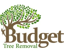 Tree Removal Cannon Hill | Free Quotes & Expert Arborists